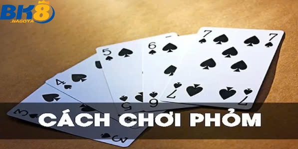 Bài Phỏm Là Gì? Mẹo Chơi Bài Phỏm Đỉnh Cao Nhất Tại Bk8 3 Thuật ngữ người chơi cần biết trong quá trình chơi bài phỏm