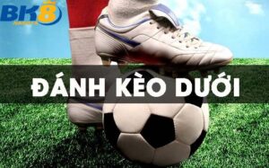 Giới thiệu về kèo dưới
