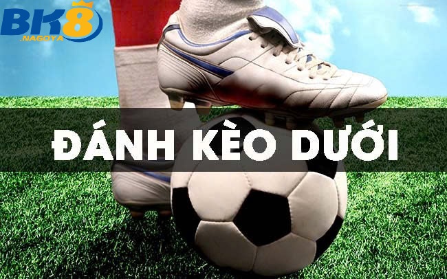 Giới thiệu về kèo dưới