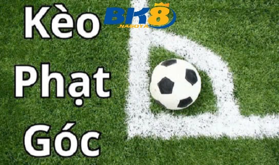 Hướng dẫn đọc tỷ lệ phạt góc chính xác nhất tại Bk8